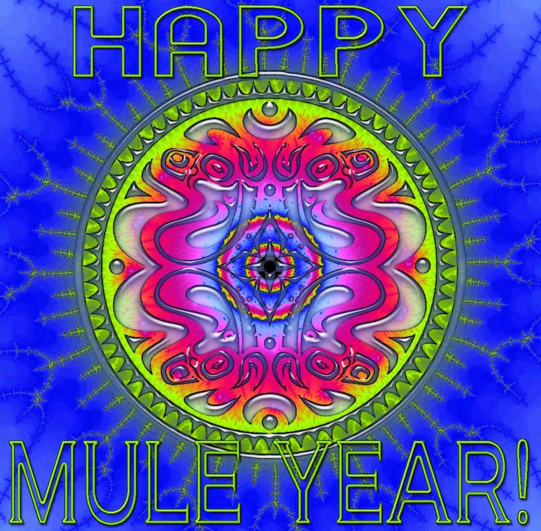 Ringing in the New Year w Mule at The Beacon