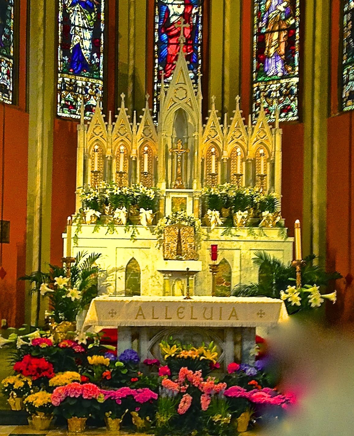 Song of Renewal: Alleluia